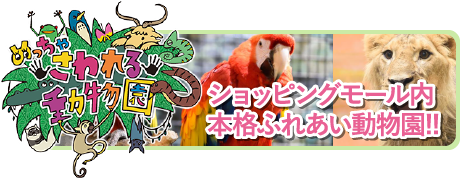 めっちゃさわれる動物園