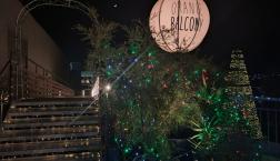 イルミネーション点灯中!