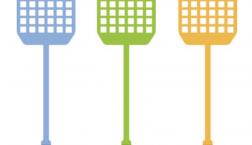 ハエってこちらの眼が見えている??(≧◇≦)