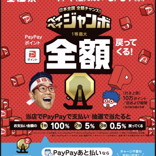 ☆★夏PayPay祭★☆