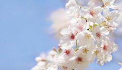 紫外線対策もそろそろと~ヽ(^o^)丿