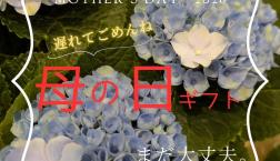遅れてごめんねSALE中