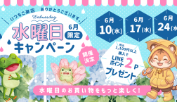 【6月限定】水曜日キャンペーン開催!