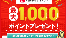PayPayポイント プレゼント✨